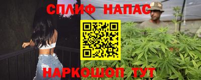 МДПВ Краснознаменск