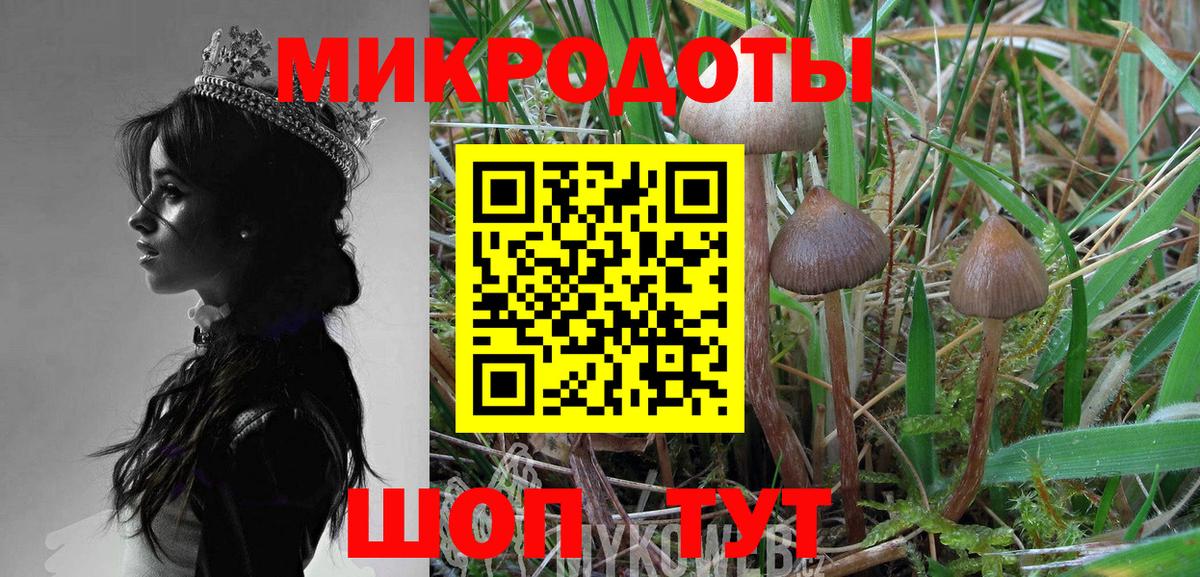 Морозовск  Псилоцибиновые грибы GOLDEN TEACHER  Вход с VPN  Псилоцибиновые грибы Psilocybe 